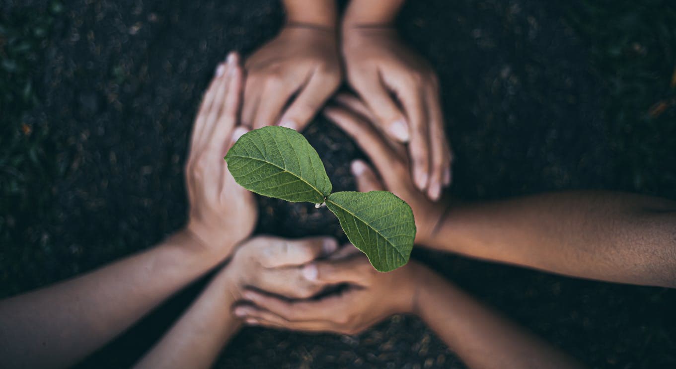 Positieve impact op het milieu